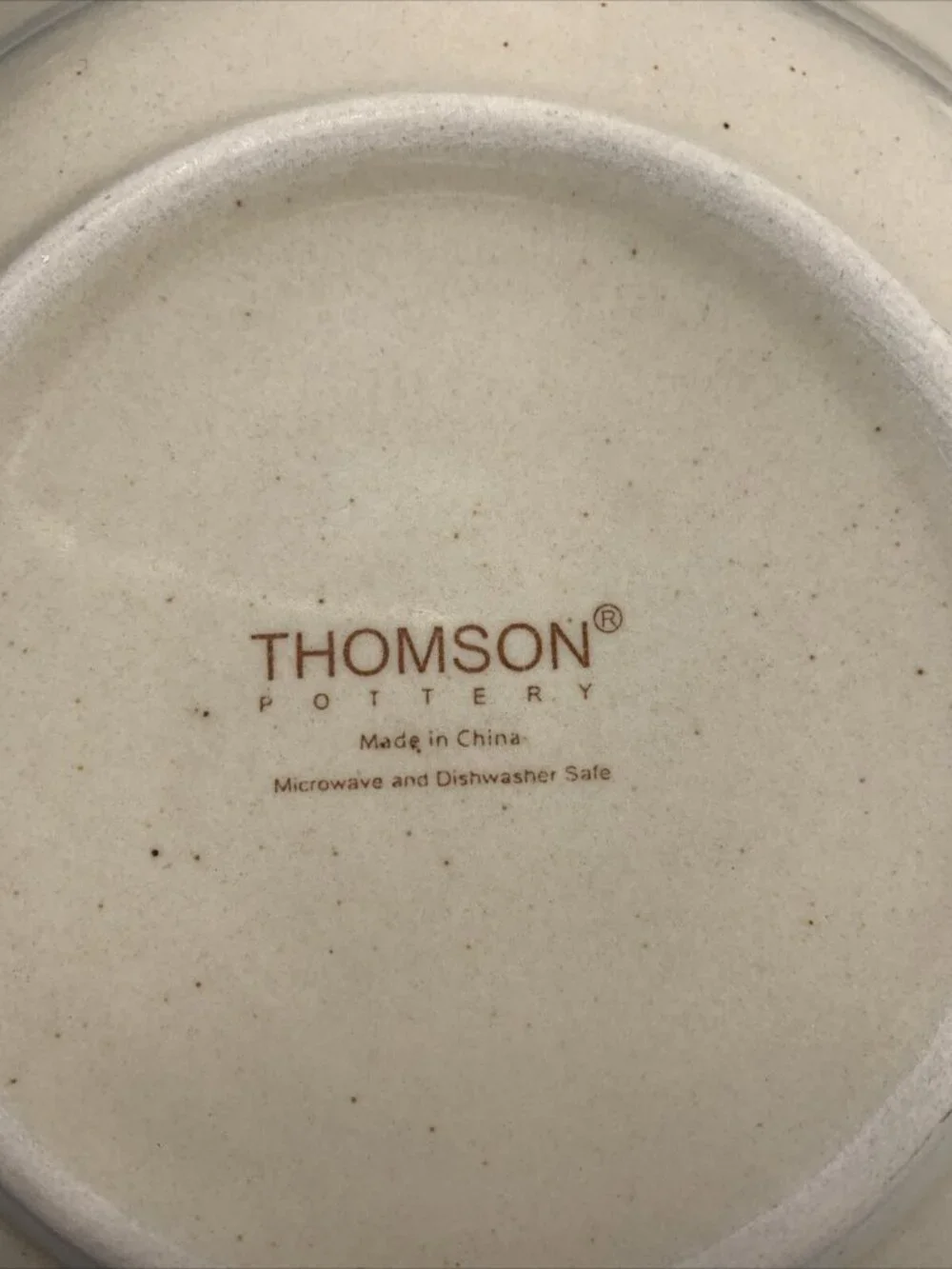 Pacific by Thomson Pottery Large Rim Soup Bowl Set of 2 - Blue Swirl- Dishwasher
